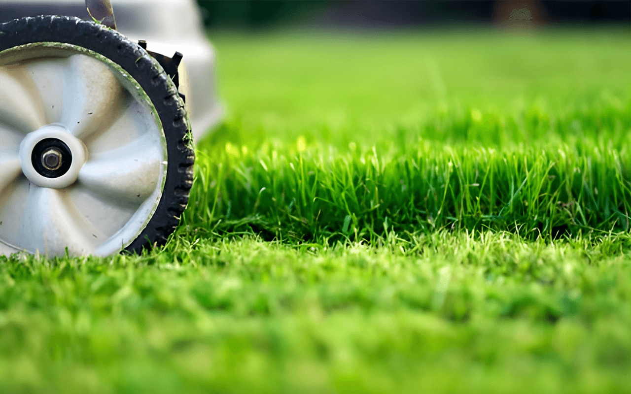 Professional landscaper cutting grass in Edmonton backyard