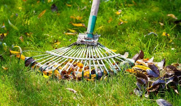 Spring Cleanup Rake Leaves Spring Cleanup Rake Leaves